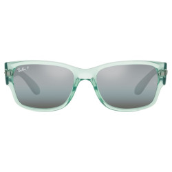 RAY-BAN 4388/6646G6/55