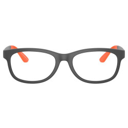 EMPORIO ARMANI EK3001/5001/49