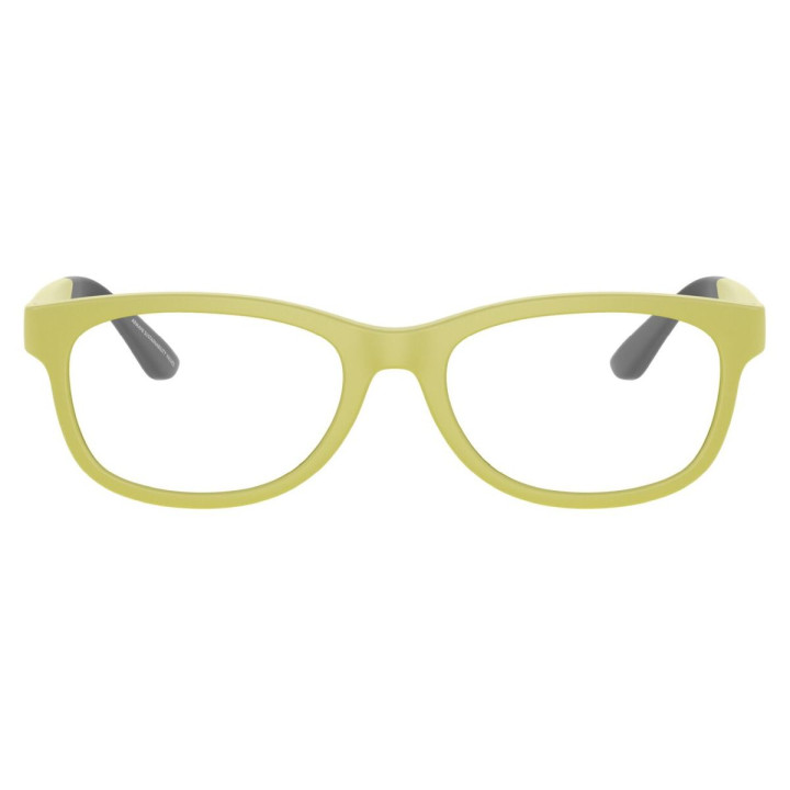 EMPORIO ARMANI EK3001/6010/49