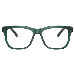 DOLCE & GABBANA DX3356/3008/49