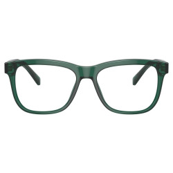 DOLCE & GABBANA DX3356/3008/49