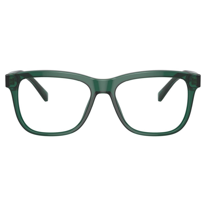 DOLCE & GABBANA DX3356/3008/49