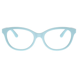 DOLCE & GABBANA DX5096/3134/49