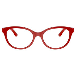 DOLCE & GABBANA DX5096/3088/47