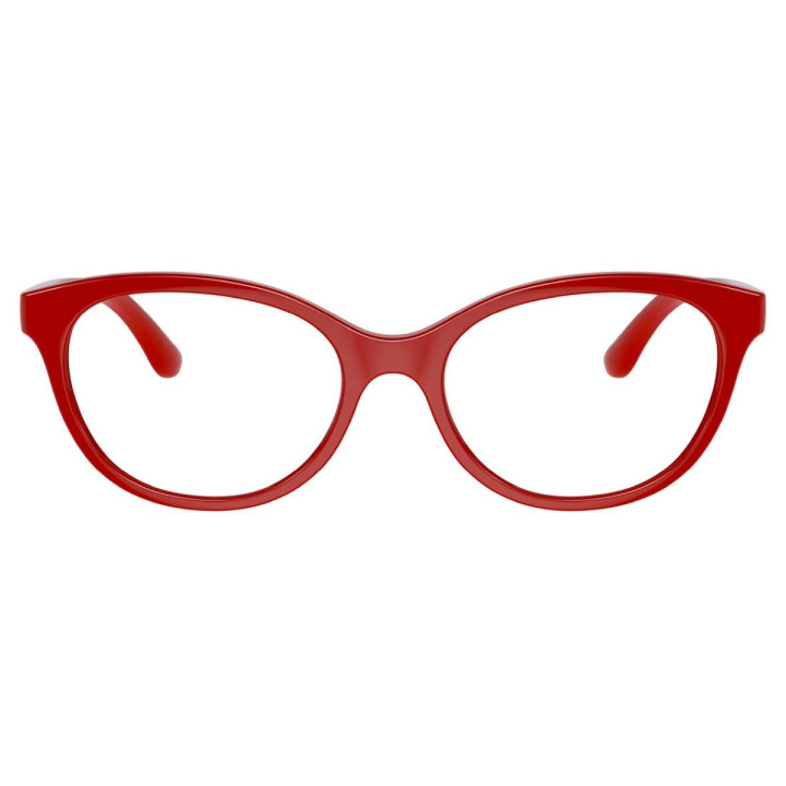 DOLCE & GABBANA DX5096/3088/47