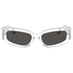 DOLCE & GABBANA DG4445/313387/54