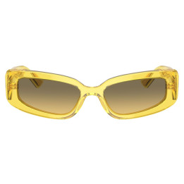 DOLCE & GABBANA DG4445/343311/54