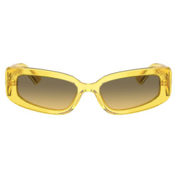 DOLCE & GABBANA DG4445/343311/54