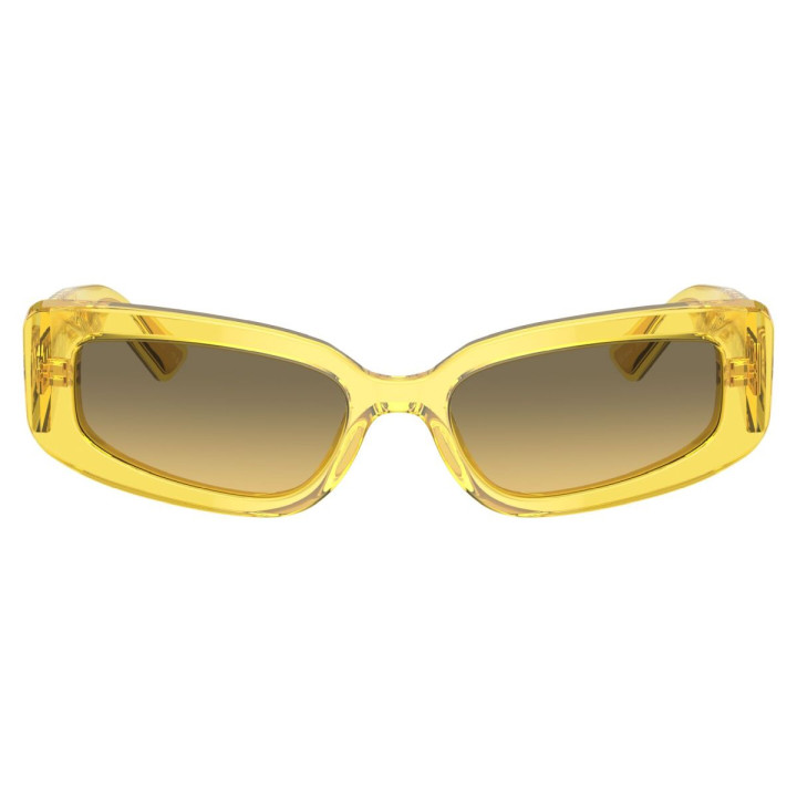 DOLCE & GABBANA DG4445/343311/54
