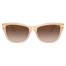 EMPORIO ARMANI EA4227U/609813/56