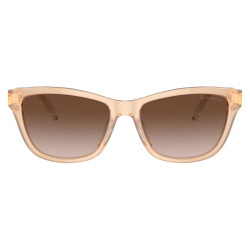 EMPORIO ARMANI EA4227U/609813/56
