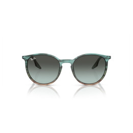 RAY-BAN RB2204/1394GK/54