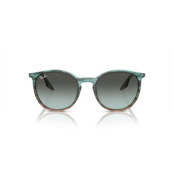RAY-BAN RB2204/1394GK/54