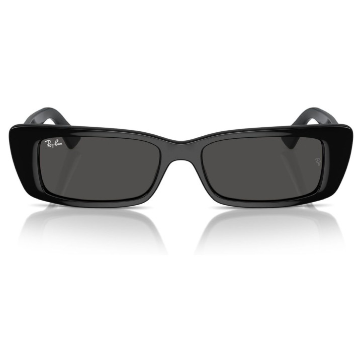 RAY-BAN RB4425/667787/54