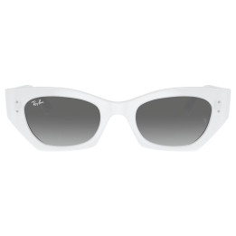 RAY-BAN RB4430/675911/49
