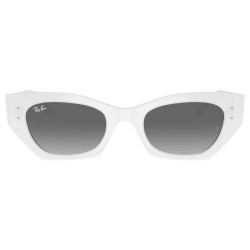 RAY-BAN RB4430/675911/49