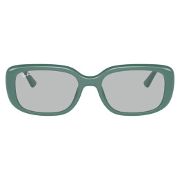RAY-BAN RB4421D/676287/56