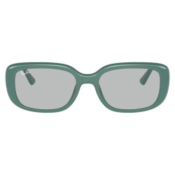 RAY-BAN RB4421D/676287/56