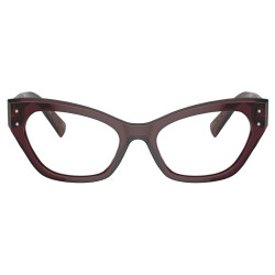 DOLCE & GABBANA DG3385/3045/52