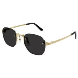 CARTIER CT0459S/005/53-21-145