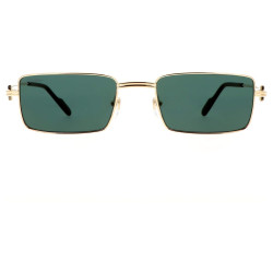 CARTIER CT0501S/007/54-20-145