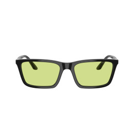 EMPORIO ARMANI EA4239U/5017/2/55
