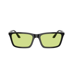 EMPORIO ARMANI EA4239U/5017/2/55