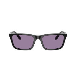 EMPORIO ARMANI EA4239U/501769/55