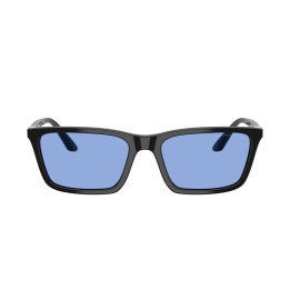 EMPORIO ARMANI EA4239U/501780/55