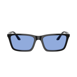 EMPORIO ARMANI EA4239U/501780/55