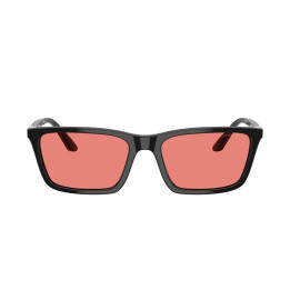 EMPORIO ARMANI EA4239U/501784/55