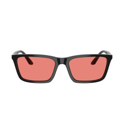 EMPORIO ARMANI EA4239U/501784/55
