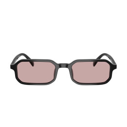 EMPORIO ARMANI EA4253U/501773/54