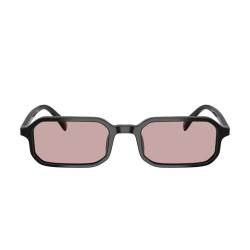 EMPORIO ARMANI EA4253U/501773/54