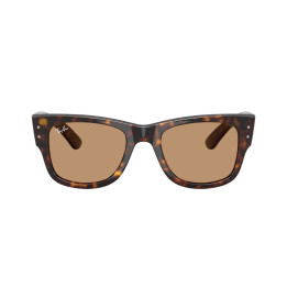 RAY-BAN RB0840S/902/53/51