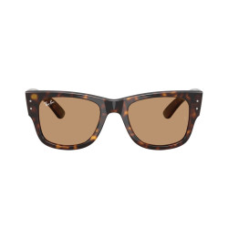RAY-BAN RB0840S/902/53/51