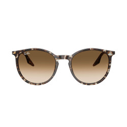 RAY-BAN RB2204/143151/51