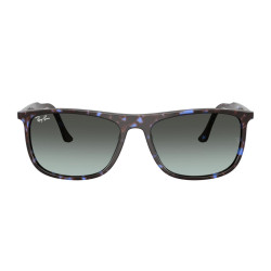 RAY-BAN RB2216/1430GK/58