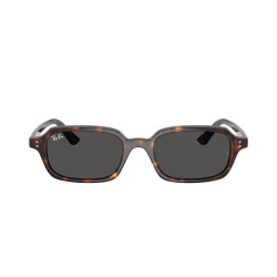 RAY-BAN RB4455/135987/52
