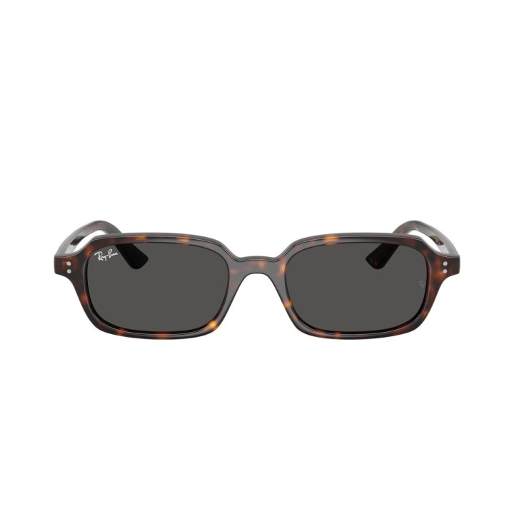 RAY-BAN RB4455/135987/52