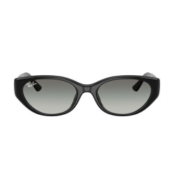RAY-BAN RB4457D/667711/55