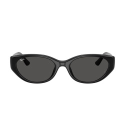 RAY-BAN RB4457D/667787/55