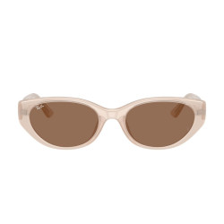 RAY-BAN RB4457D/678673/55