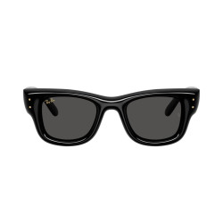 RAY-BAN WAYFARER PUFFER RB4940/601/87/47