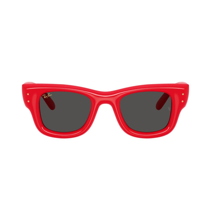 RAY-BAN WAYFARER PUFFER RB4940/683187/47
