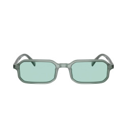 EMPORIO ARMANI EA4253U/627065/54