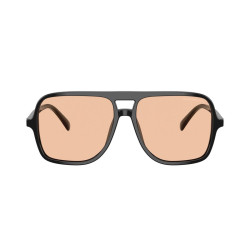 EMPORIO ARMANI EA4252U/501793/57