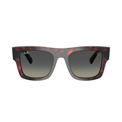 RAY-BAN FERRARI RB2217M/F70511/53