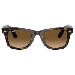 RAY-BAN WAYFARER EASE RB4340/710/M2/50-22-150
