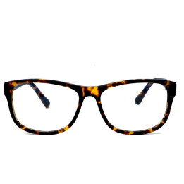 BRIXTON BF0048/C2/54-15-140